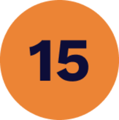 Mega Wheel 15